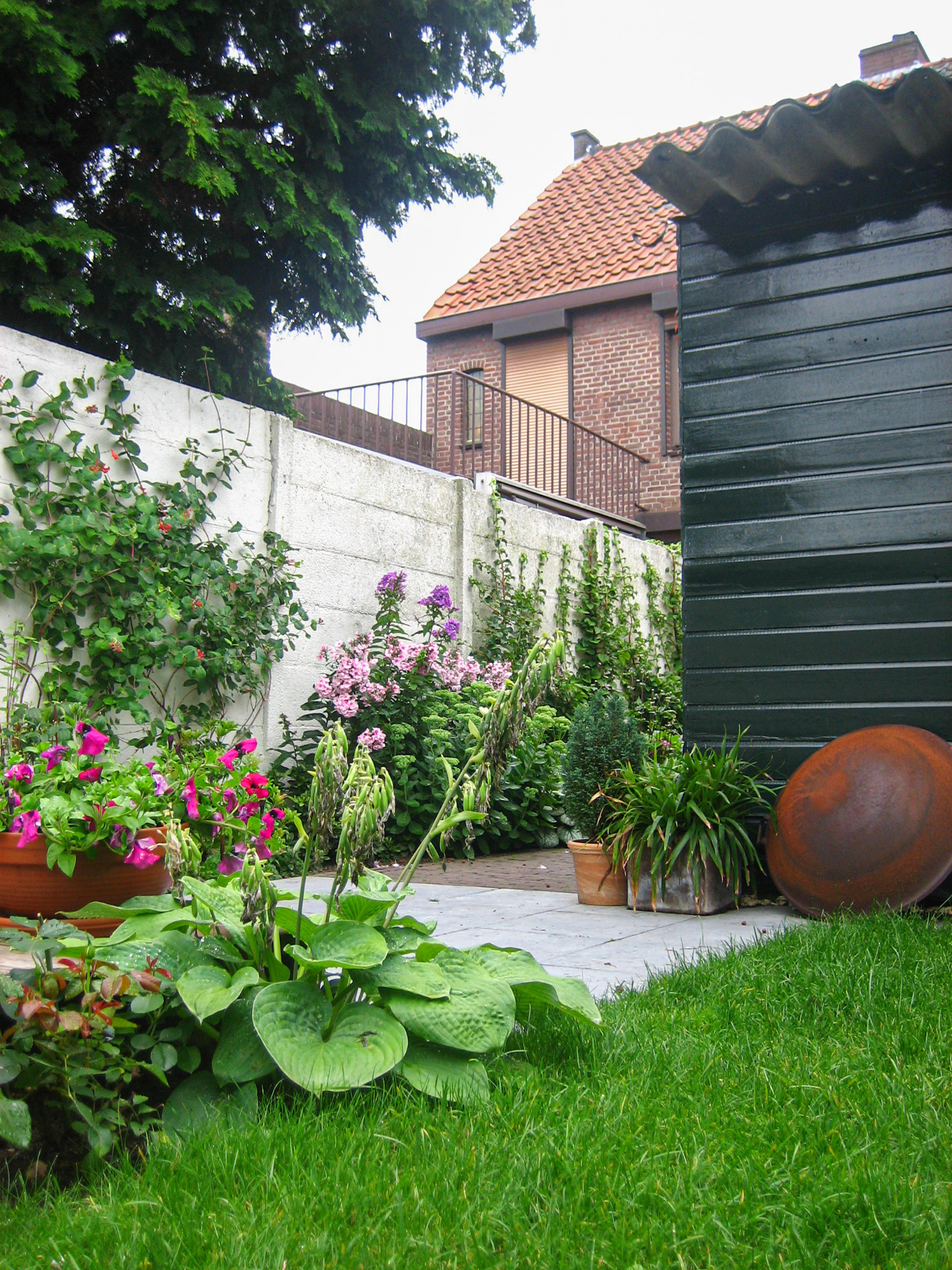 Tuin op het noorden Studio Nas
