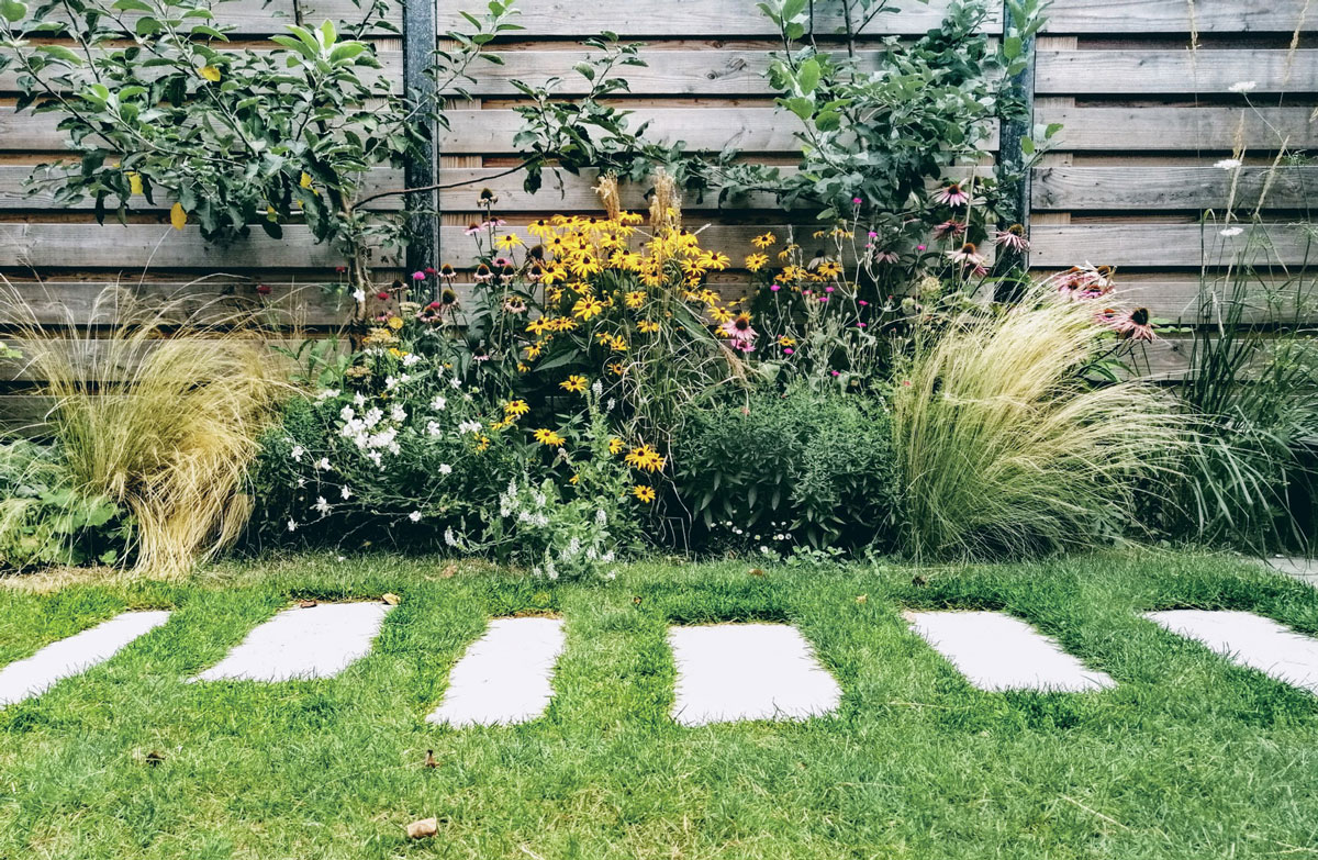 tuinontwerp droogtebestendige border stadstuin tilburg