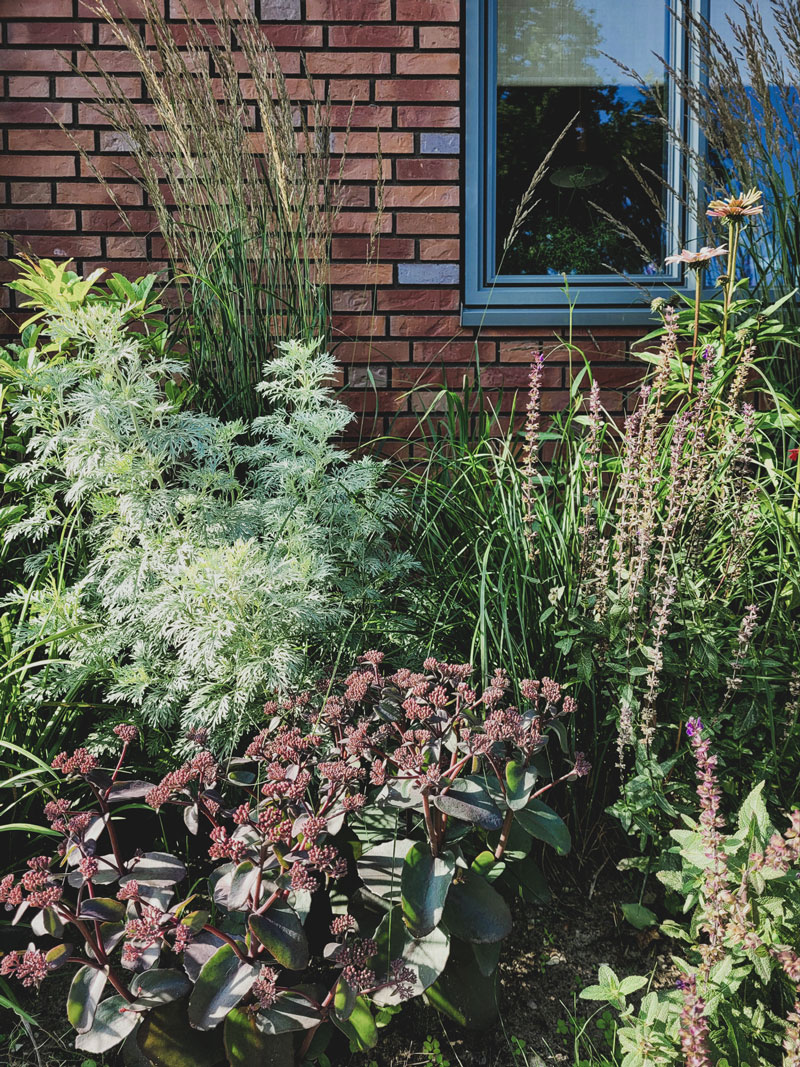 voortuin met natuurlijke beplanting en siergrassen