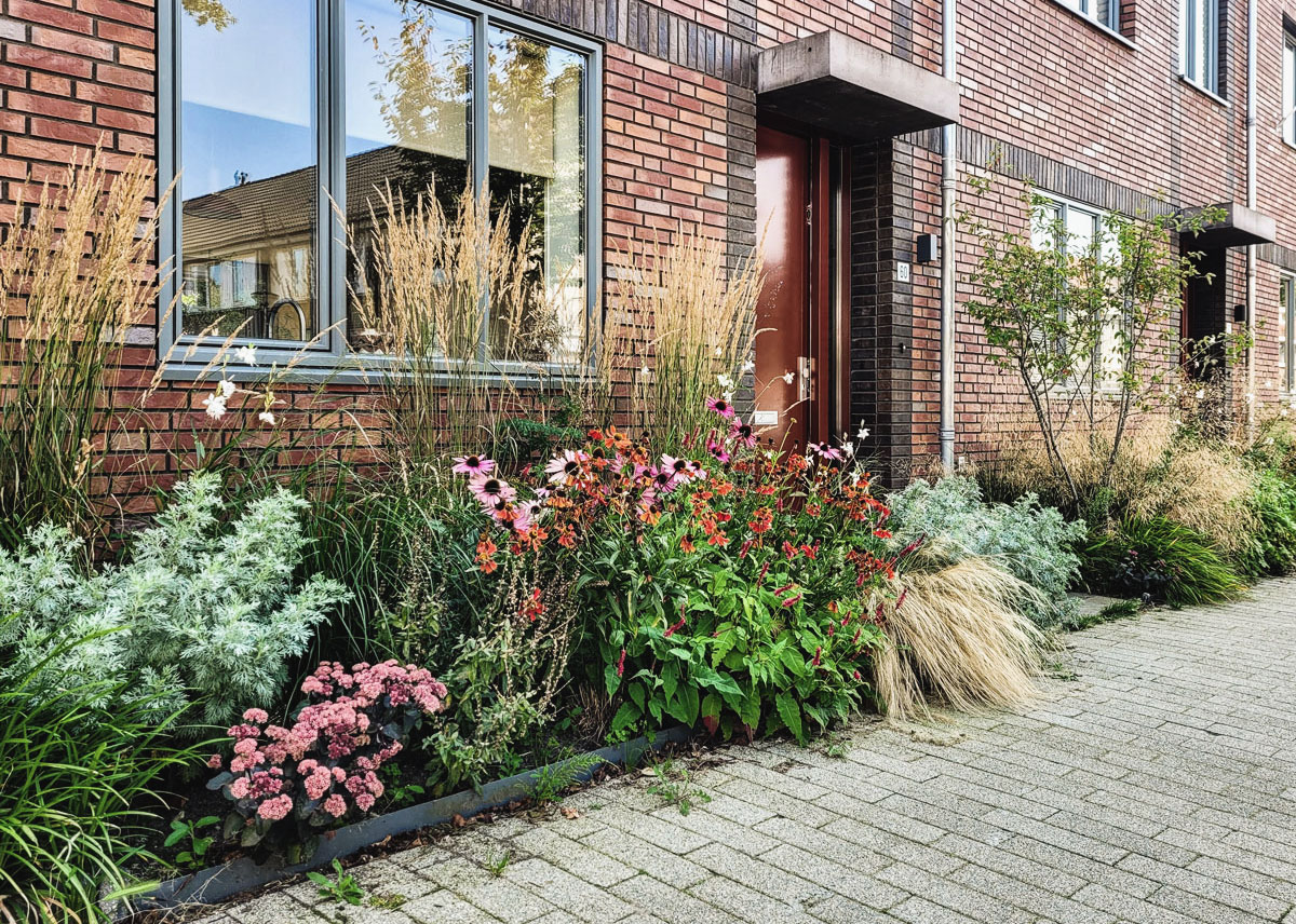 voortuin-natuurlijke-beplanting-siergrassen6-1