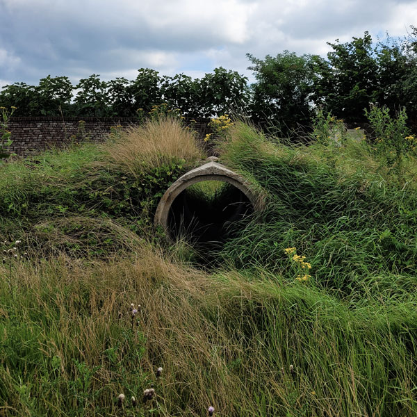 compost24