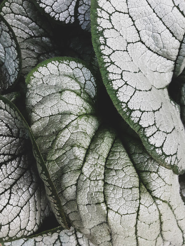 compost33