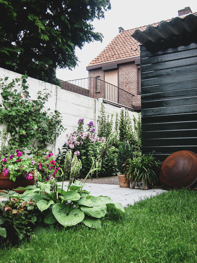 tuin op het noorden ontwerp