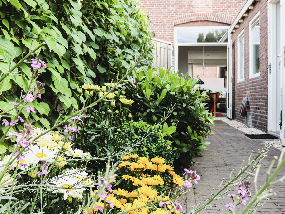 tuin op noorden border