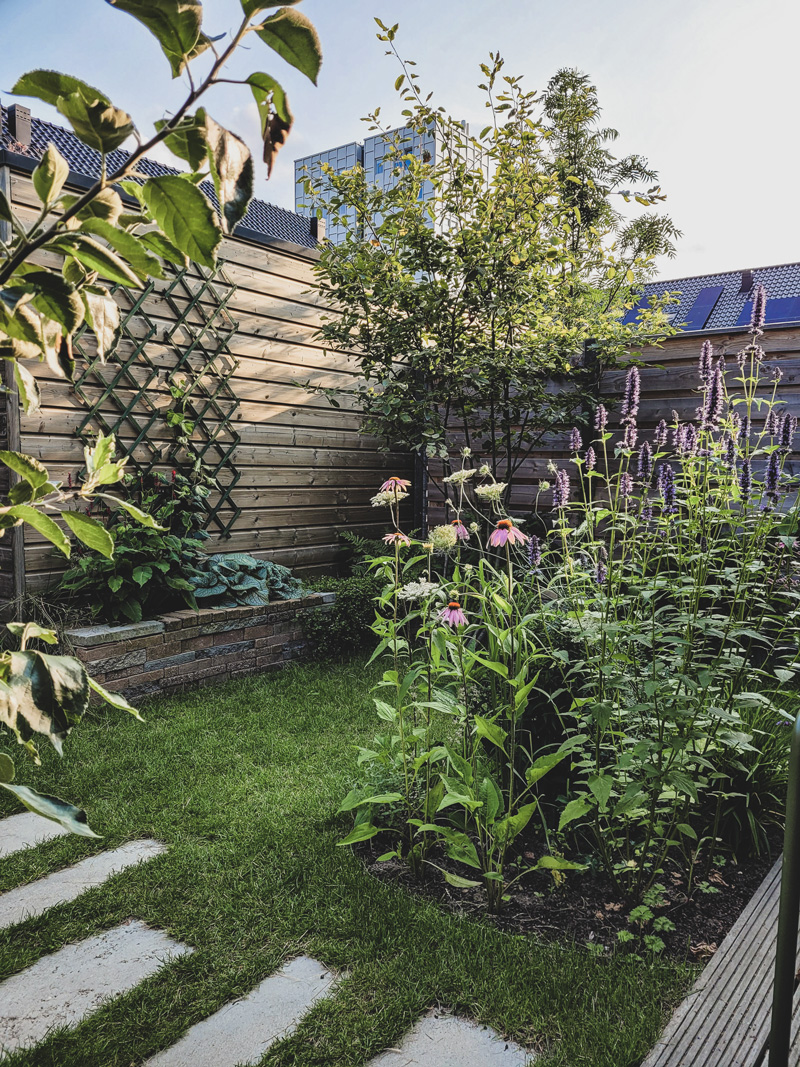 tuinontwerp natuurlijke kleine stadstuin