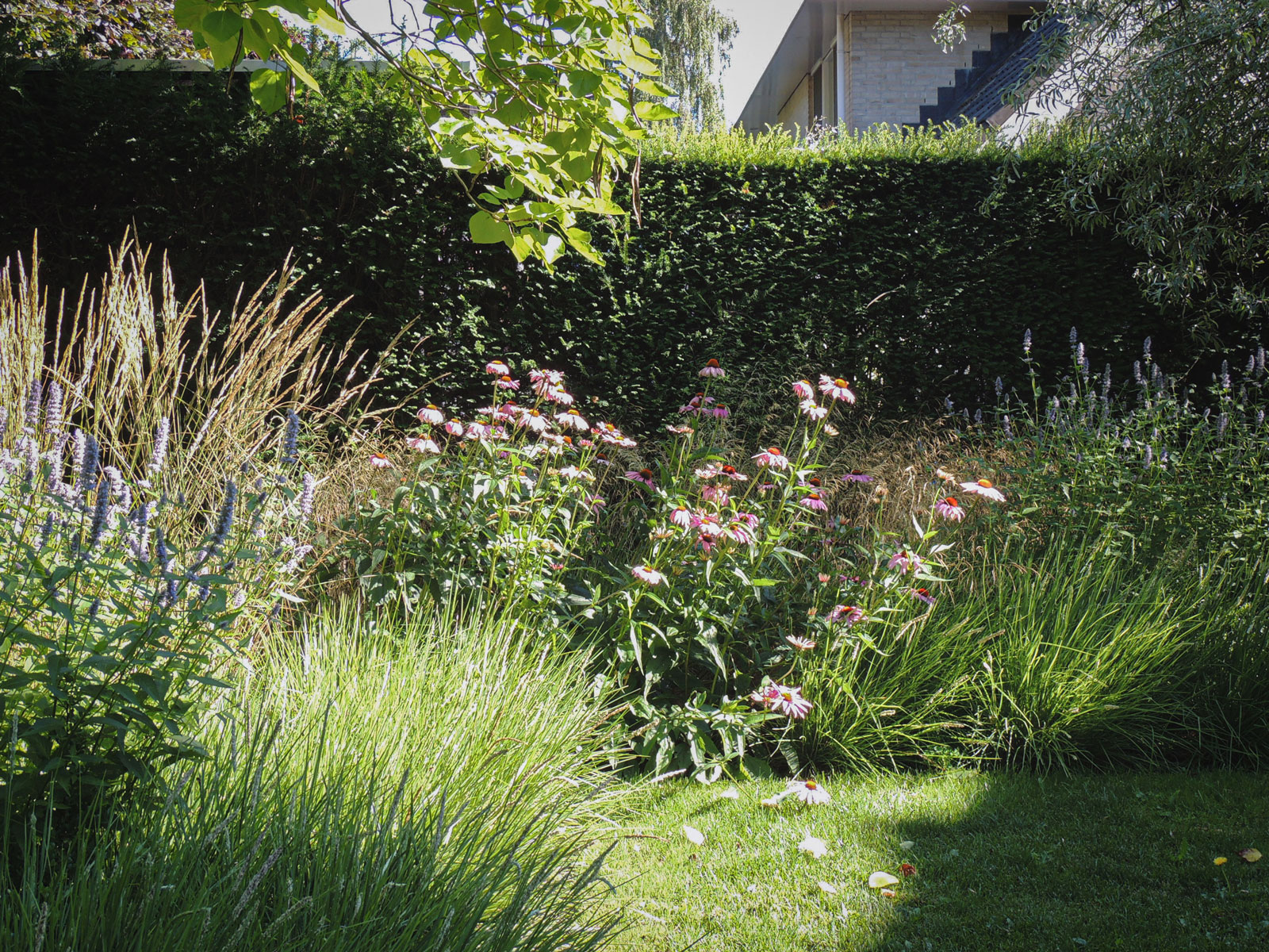 natuurlijke-beplanting06-2