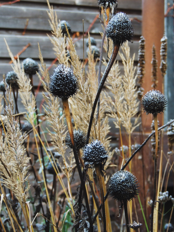 stadstuin-winterbeeld02