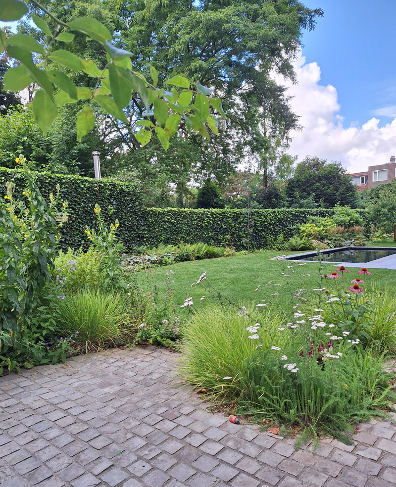 Diepe tuin met zwemvijver