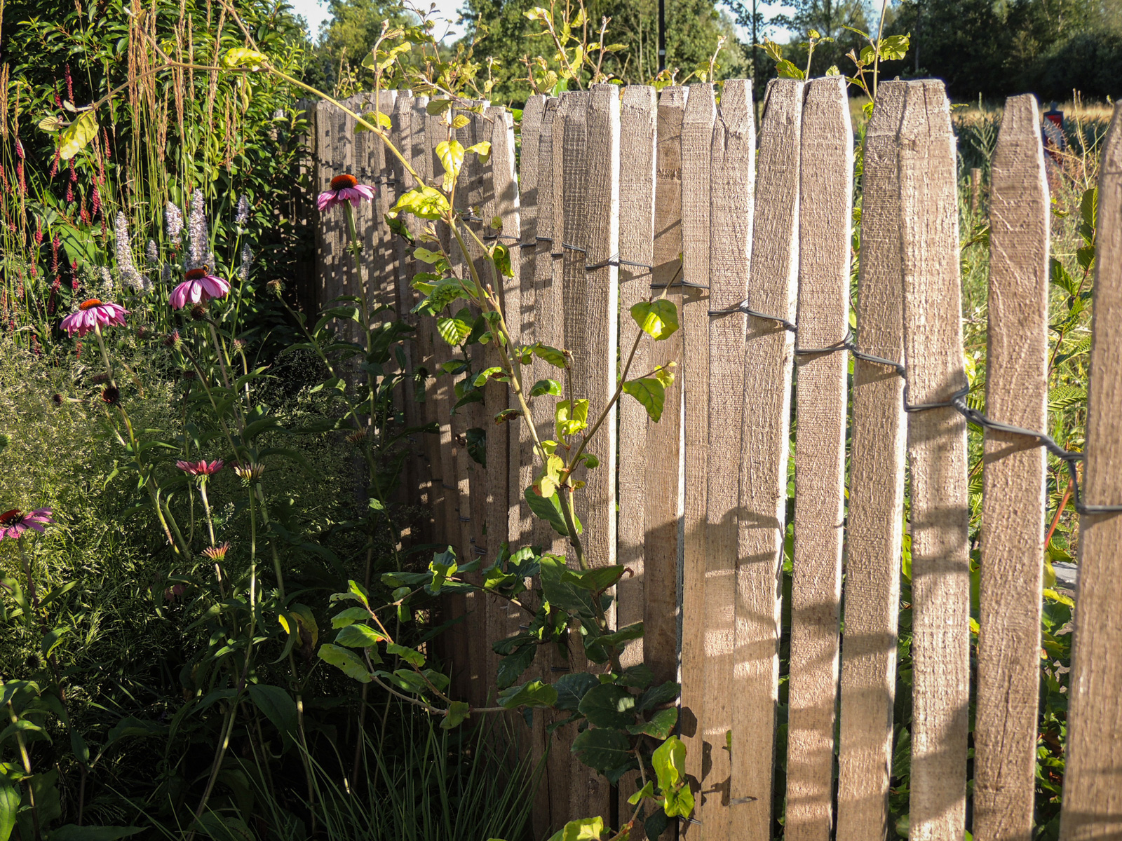 tuinontwerp-natuurlijke-tuin02
