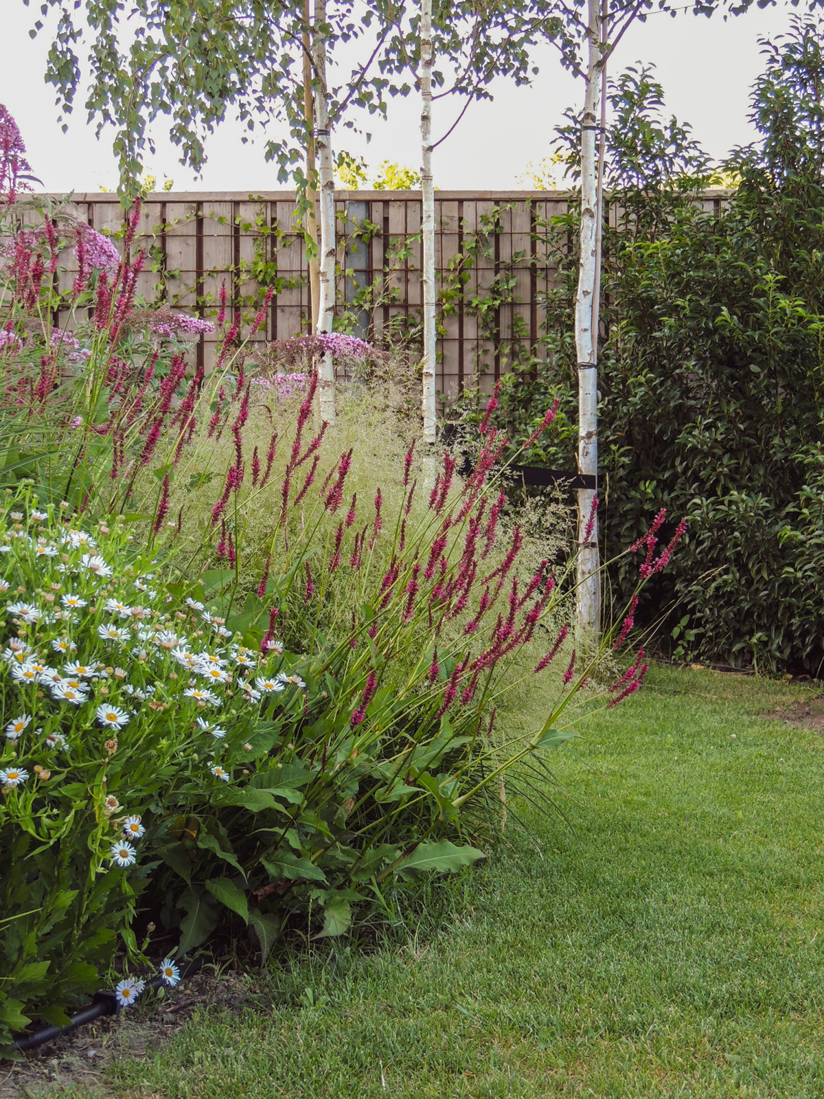 tuinontwerp-natuurlijke-tuin05