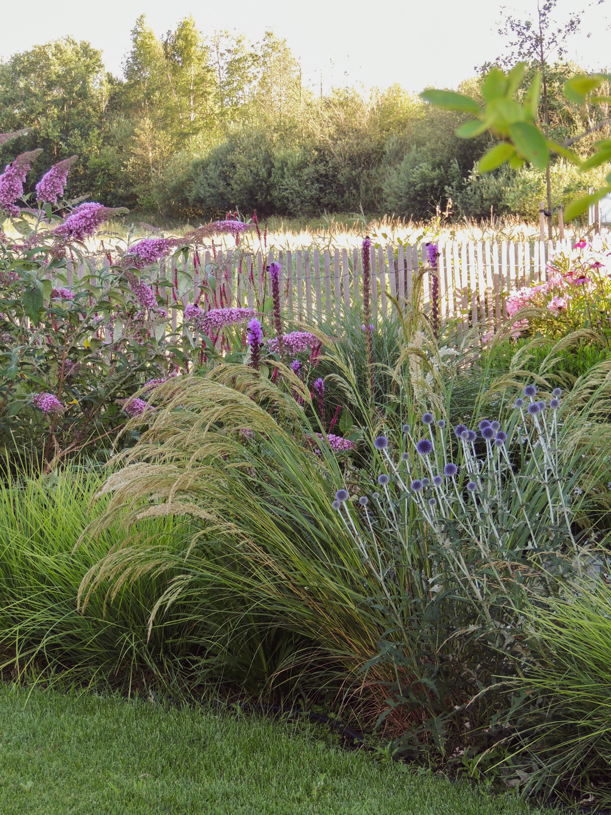 tuinontwerp-natuurlijke-tuin07