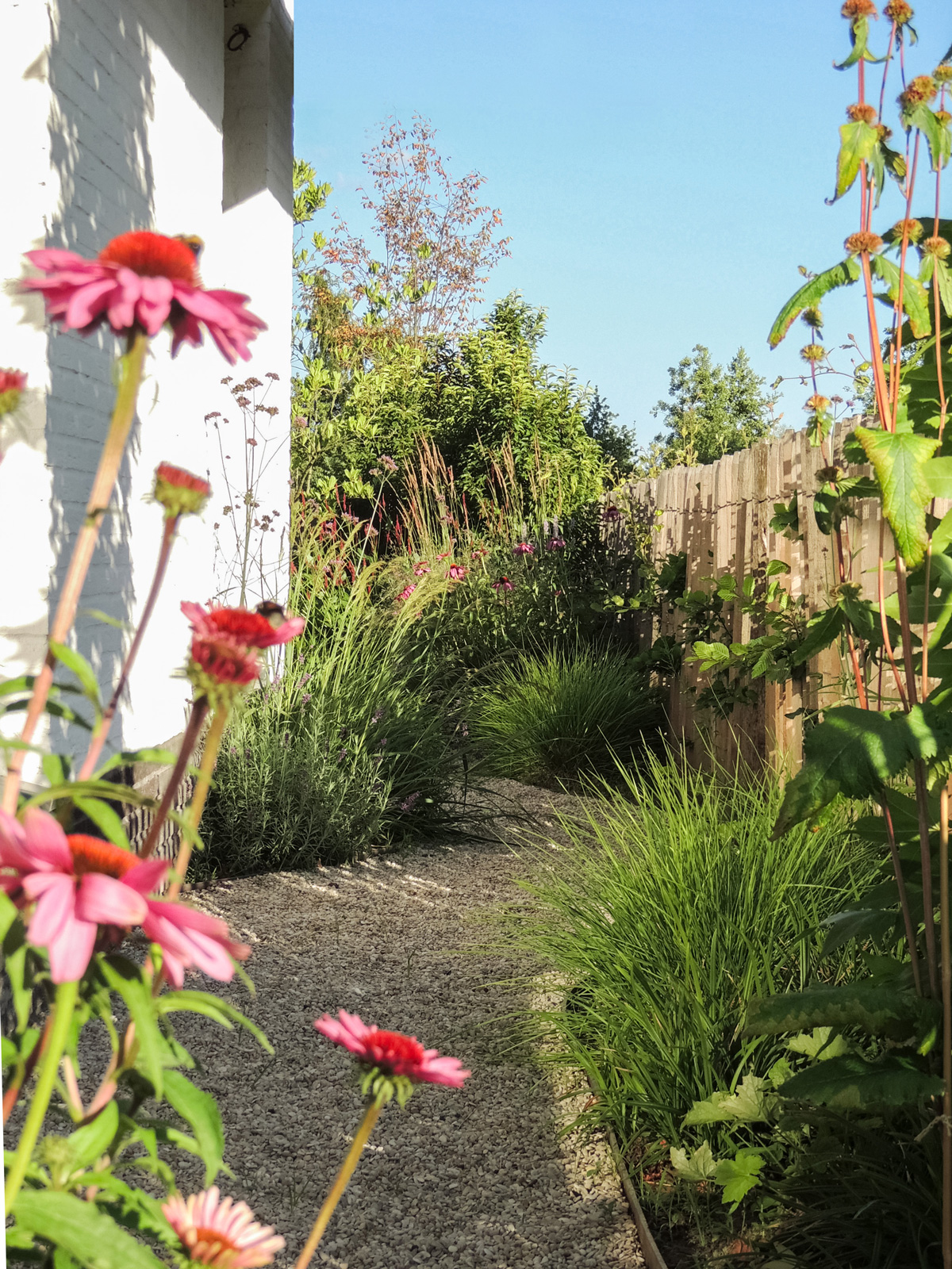 tuinontwerp-natuurlijke-tuin16
