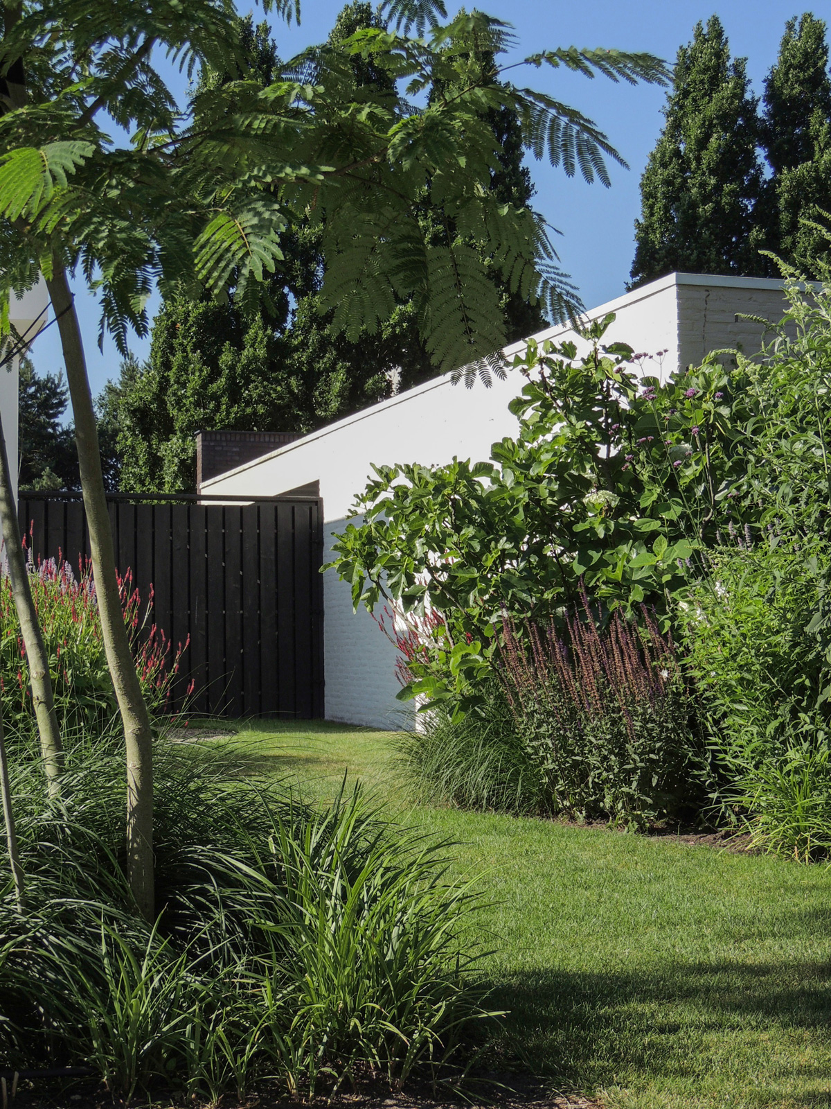 tuinontwerp-villatuin-zwembad03
