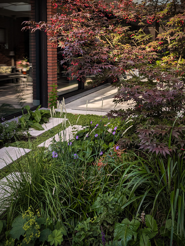 Patiotuin