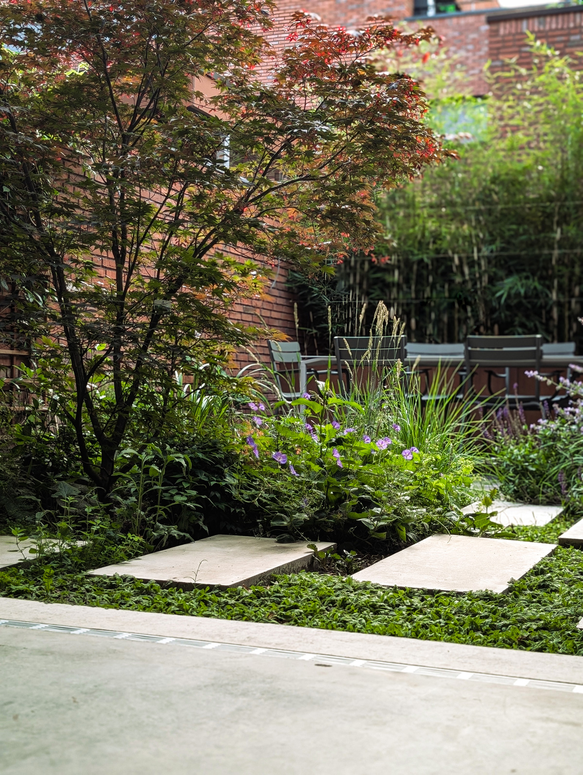 Tuinontwerp-Patiotuin-02
