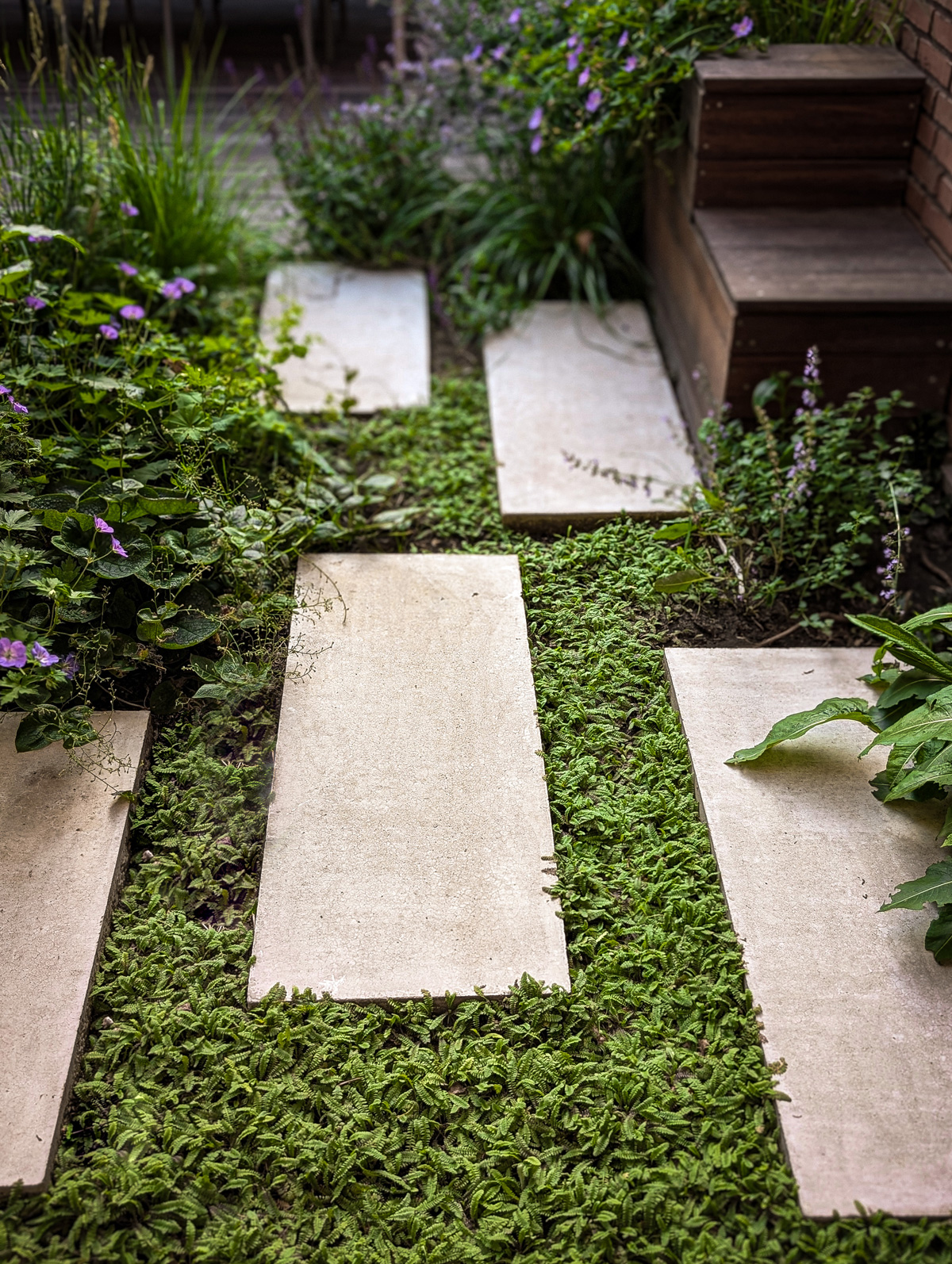 Tuinontwerp-Patiotuin-04