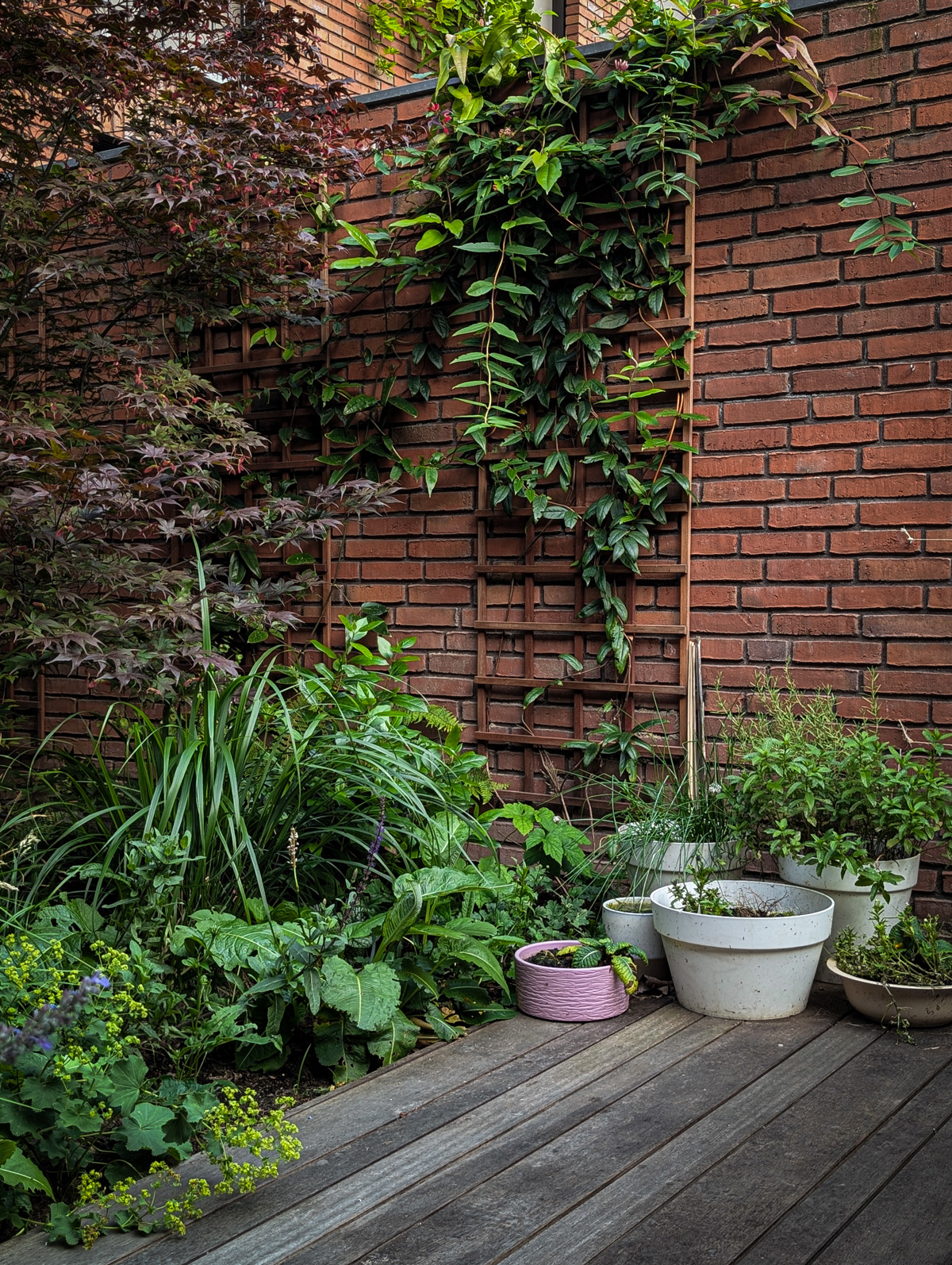 Tuinontwerp-Patiotuin-09