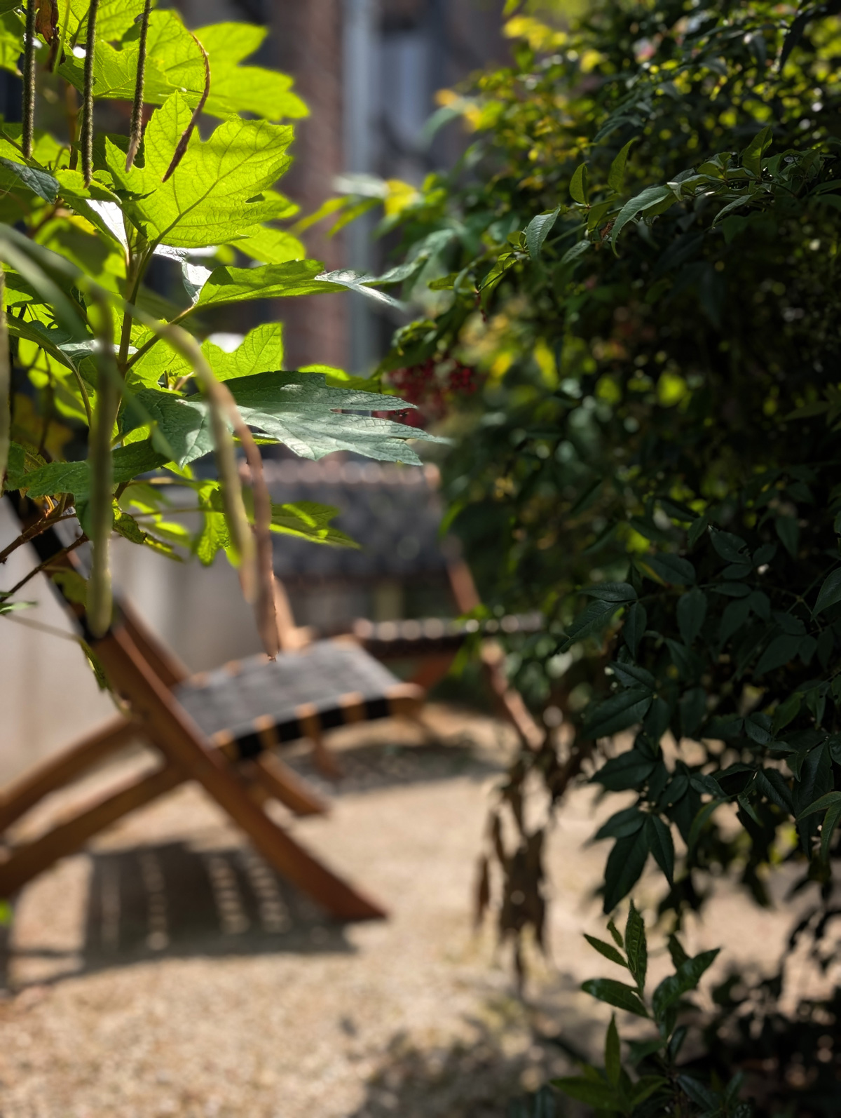 tuinontwerp-zen-kleine-stadstuin-vught02
