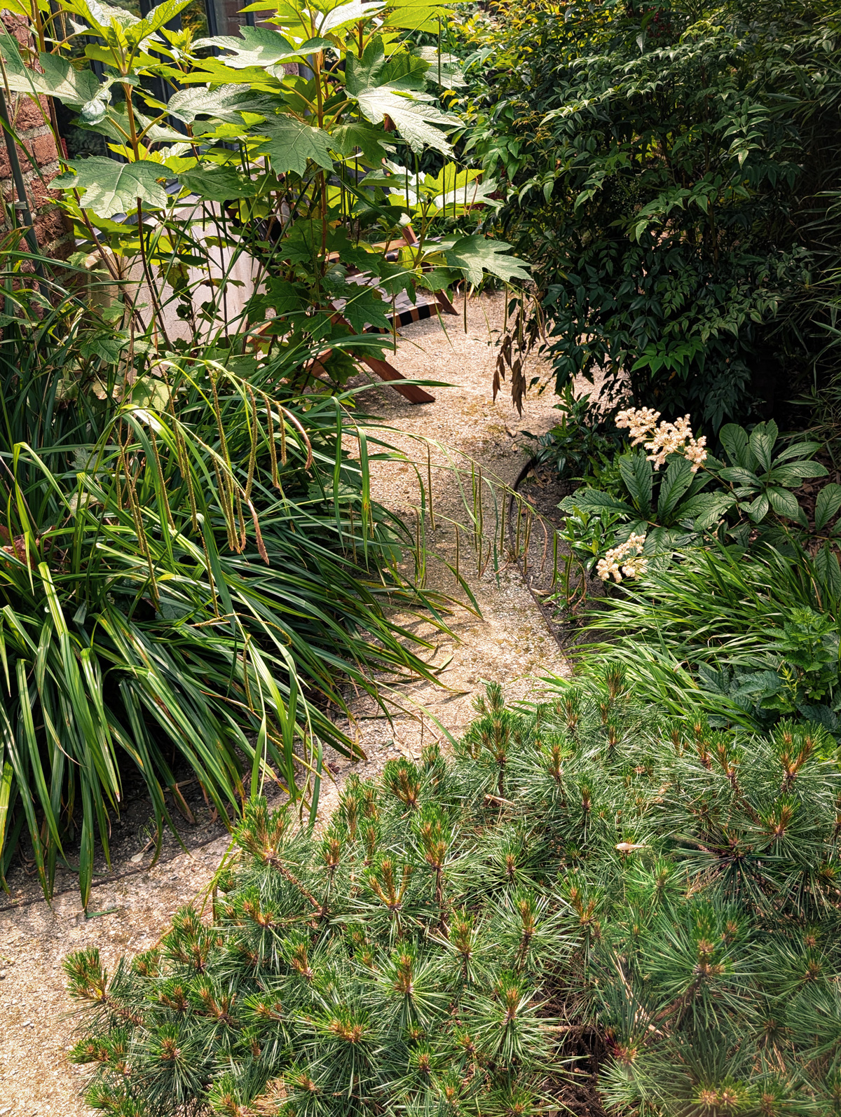 tuinontwerp-zen-kleine-stadstuin-vught03