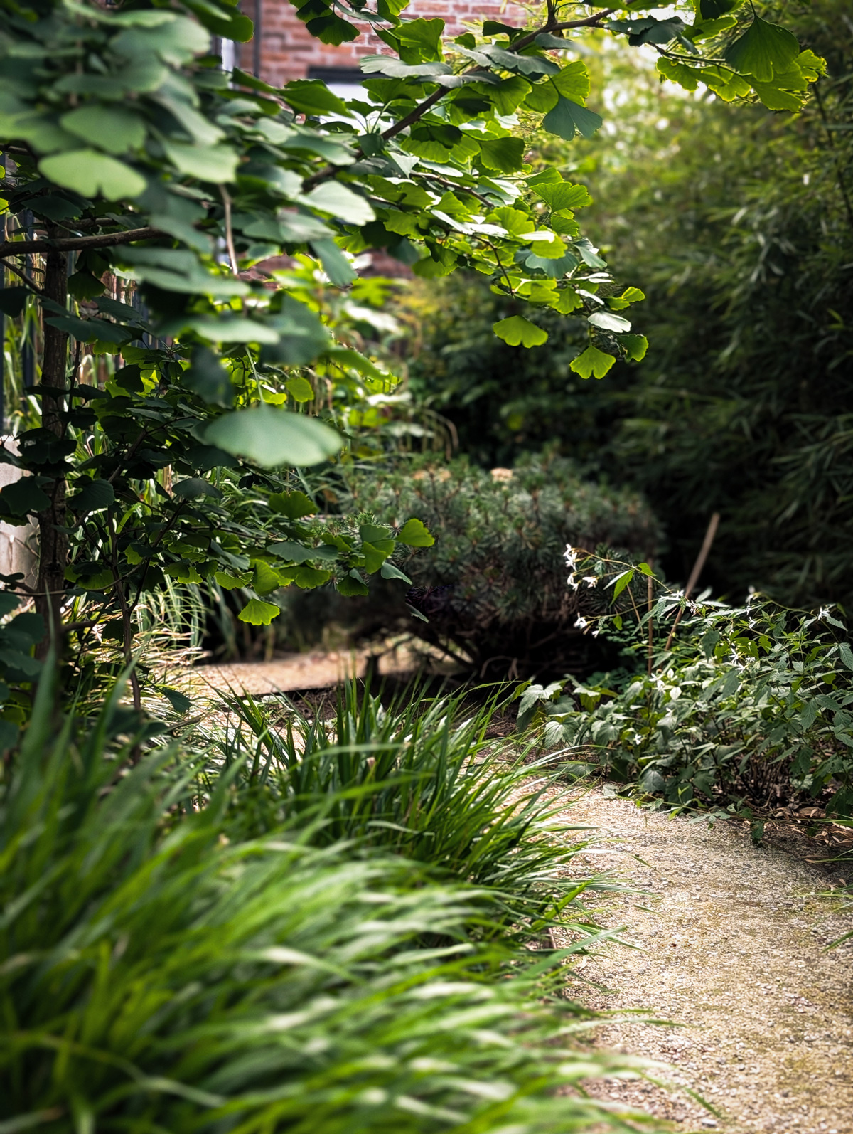 tuinontwerp-zen-kleine-stadstuin-vught06