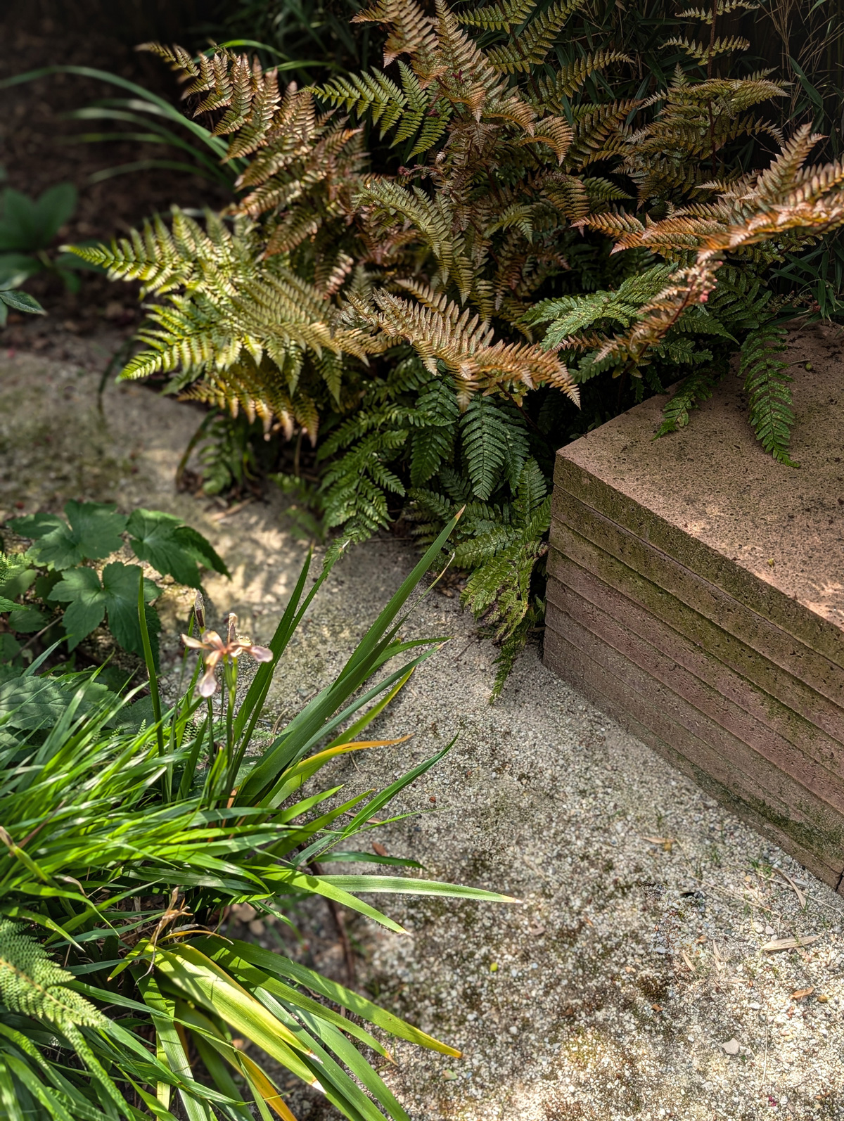 tuinontwerp-zen-kleine-stadstuin-vught07