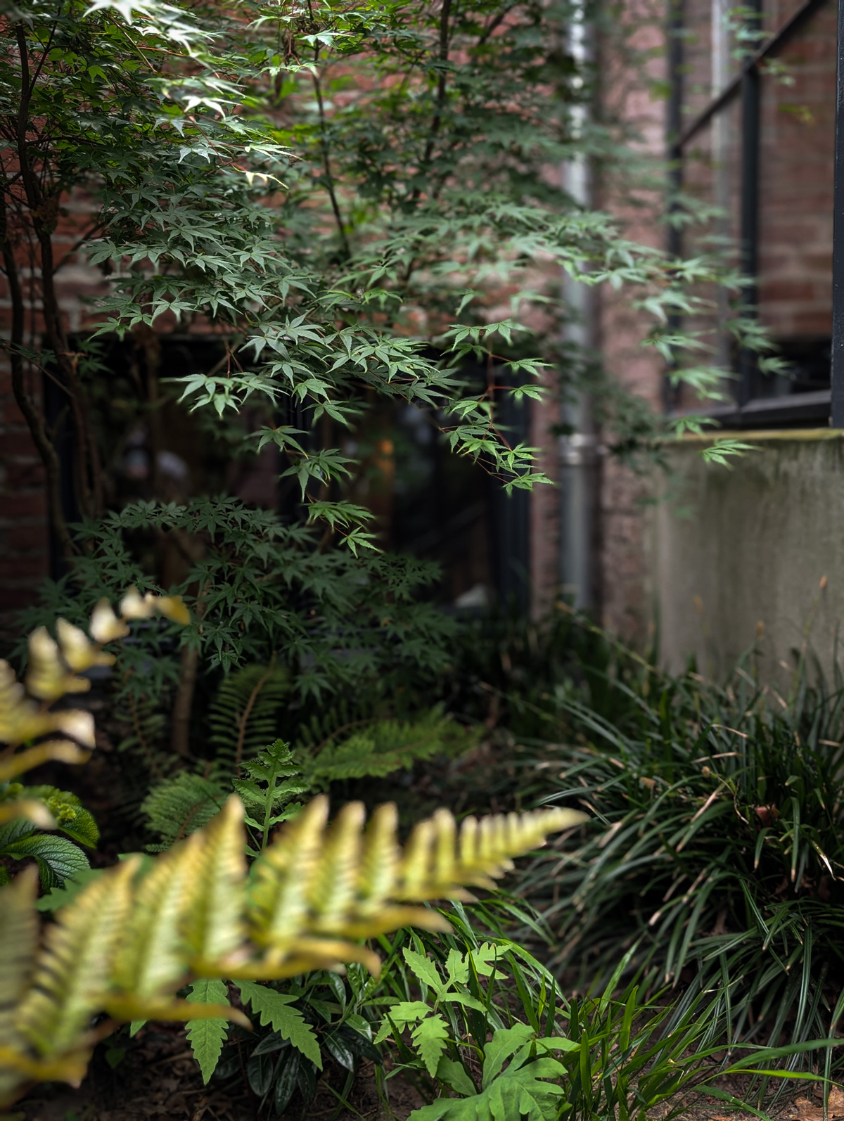 tuinontwerp-zen-kleine-stadstuin-vught09