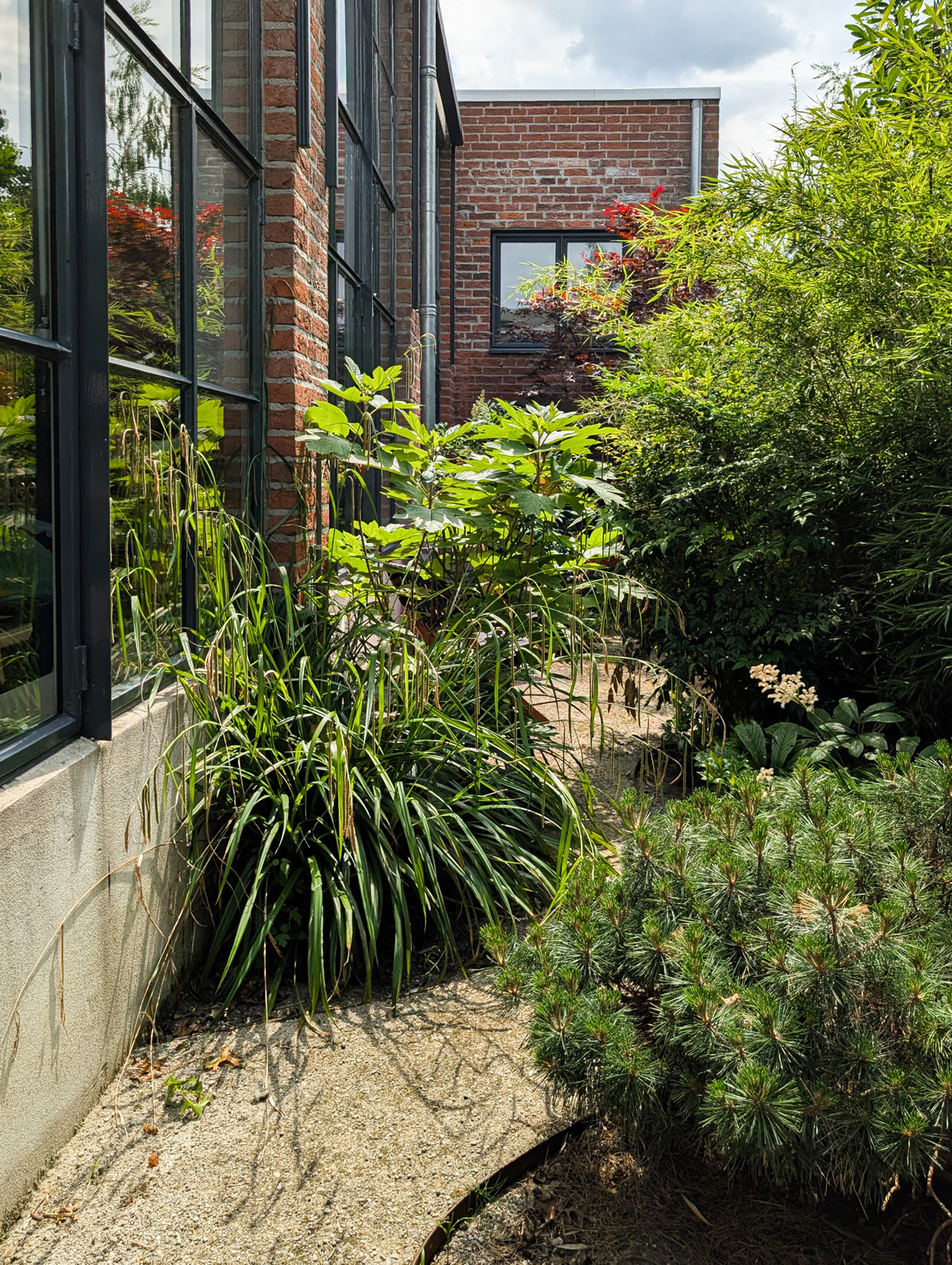 tuinontwerp-zen-kleine-stadstuin-vught13