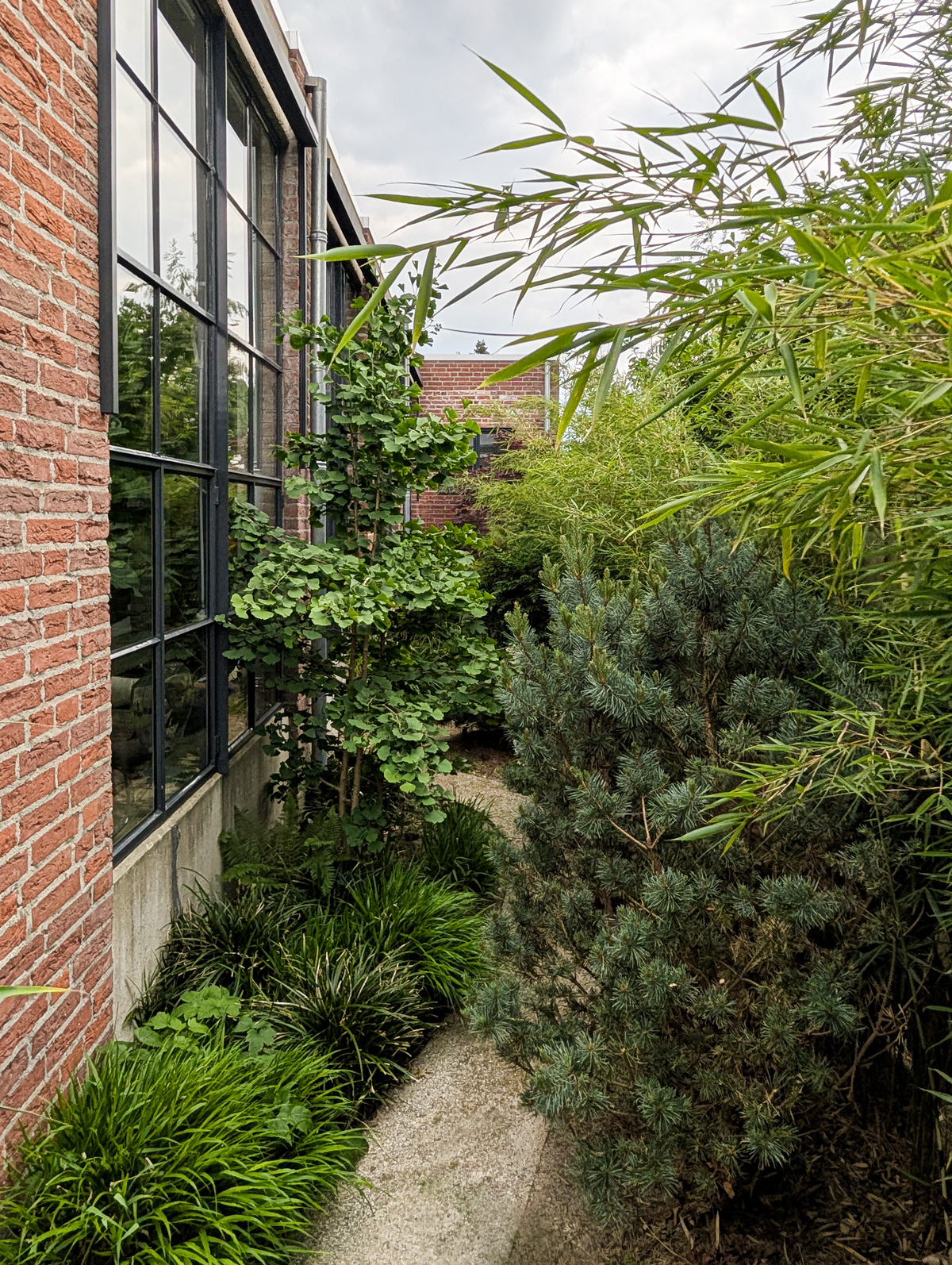 tuinontwerp-zen-kleine-stadstuin-vught14