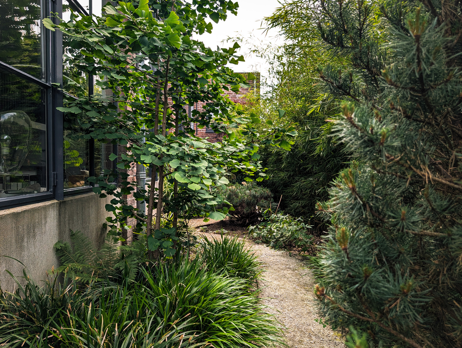 tuinontwerp-zen-kleine-stadstuin-vught15