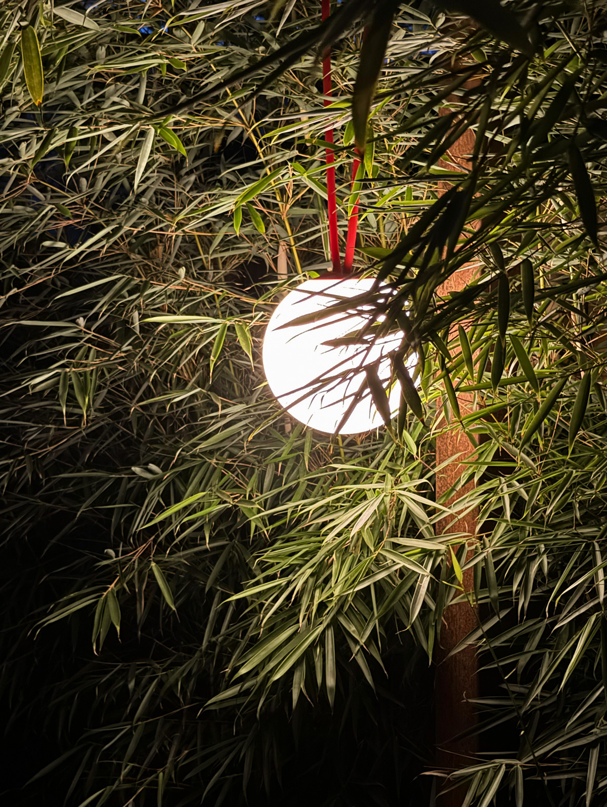 tuinontwerp-zen-kleine-stadstuin-vught23