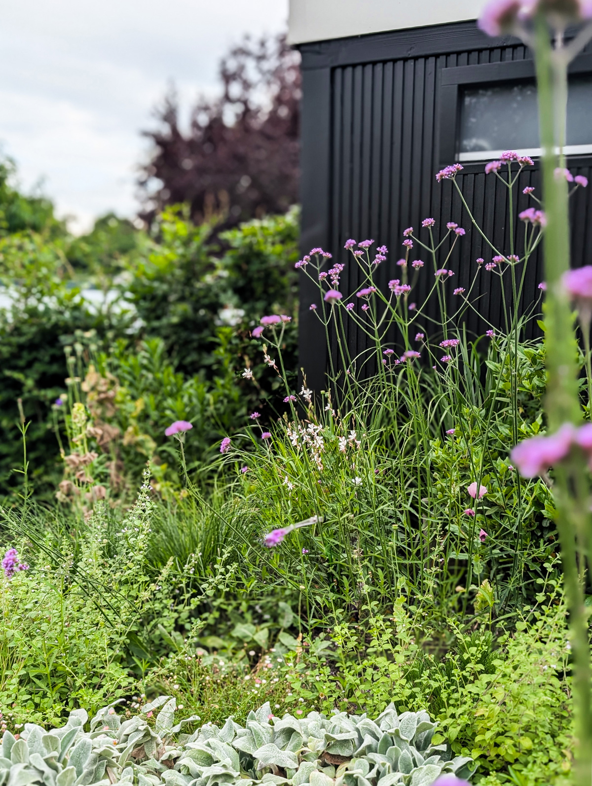 tuin-met-hoogteverschil-17