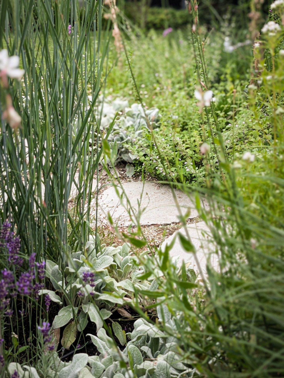 tuin-met-hoogteverschil-19